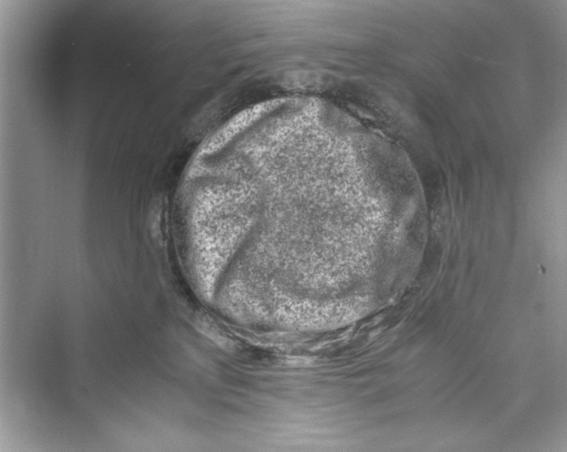 X0000072550233200608111847