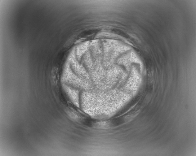 X0000072550237200608111847