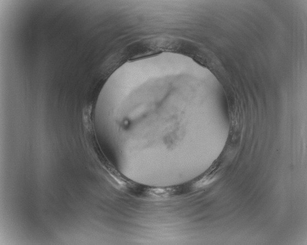 X0000072550239200608111847