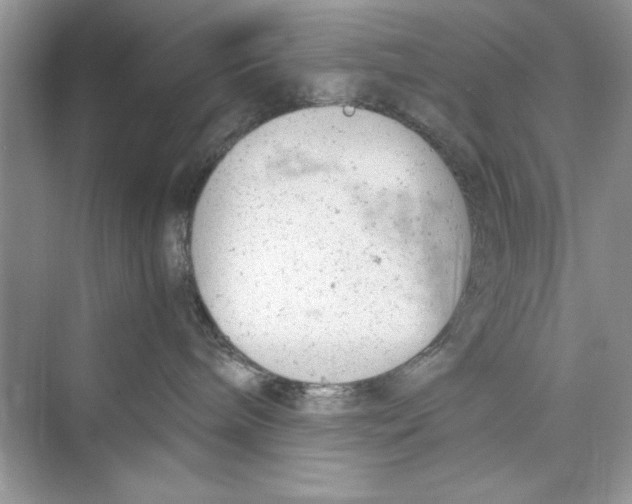 X0000072550240200608111847