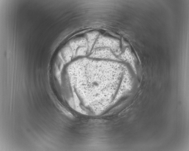 X0000072550242200608111846