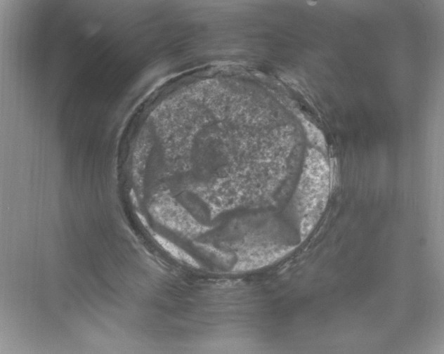 X0000072550243200608111846