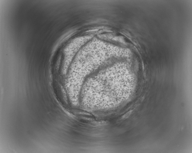 X0000072550245200608111846