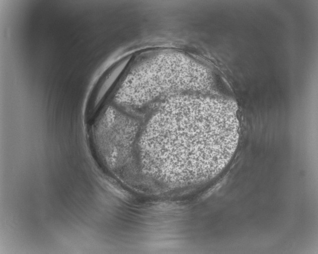 X0000072550246200608111846