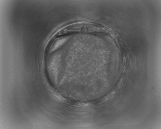 X0000072550247200608111846