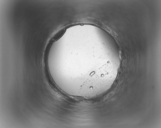 X0000072550248200608111846