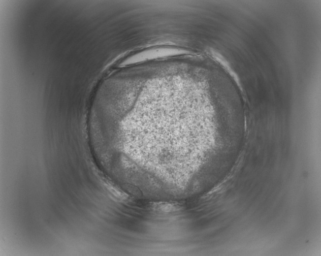 X0000072550249200608111846