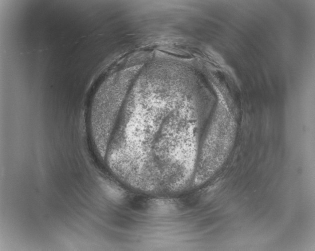 X0000072550250200608111846