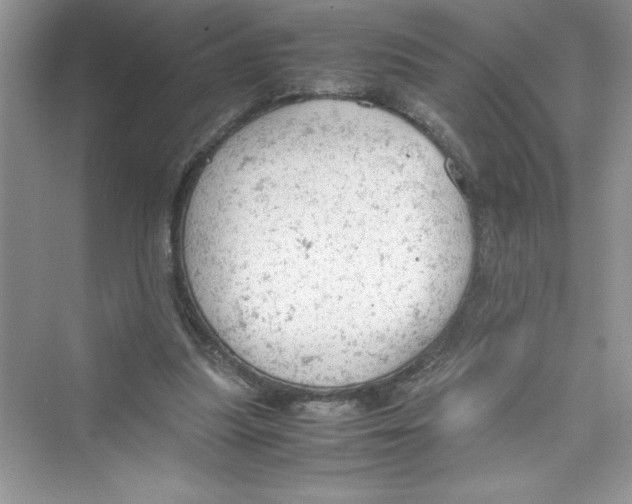 X0000072550251200608111846