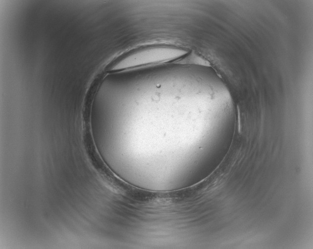 X0000072550252200608111846