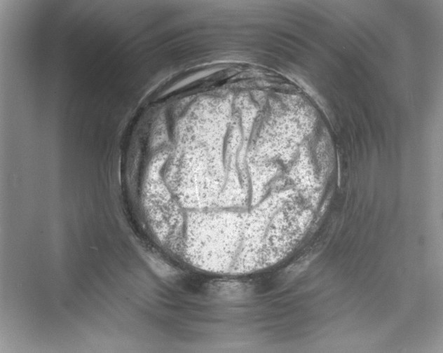 X0000072550253200608111846