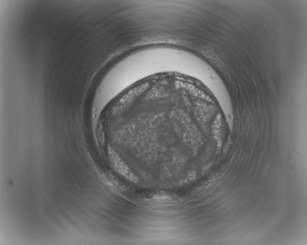 X0000072550256200608111846