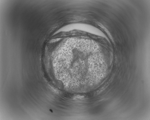 X0000072550257200608111846