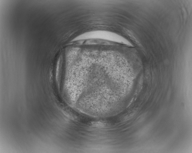 X0000072550259200608111846