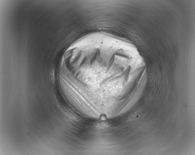 X0000072550262200608111846