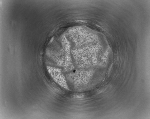 X0000072550263200608111846