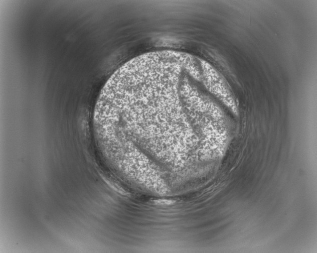 X0000072550265200608111846