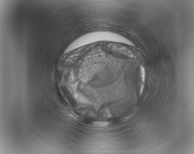 X0000072550266200608111846