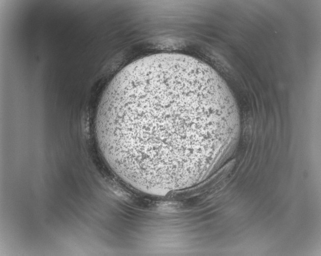 X0000072550268200608111846