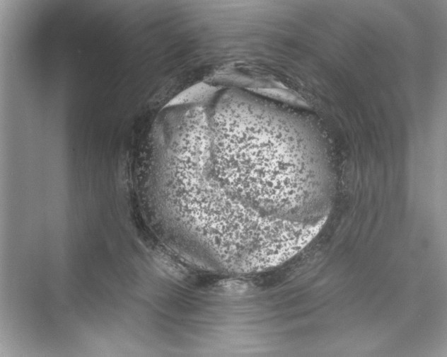 X0000072550272200608111846