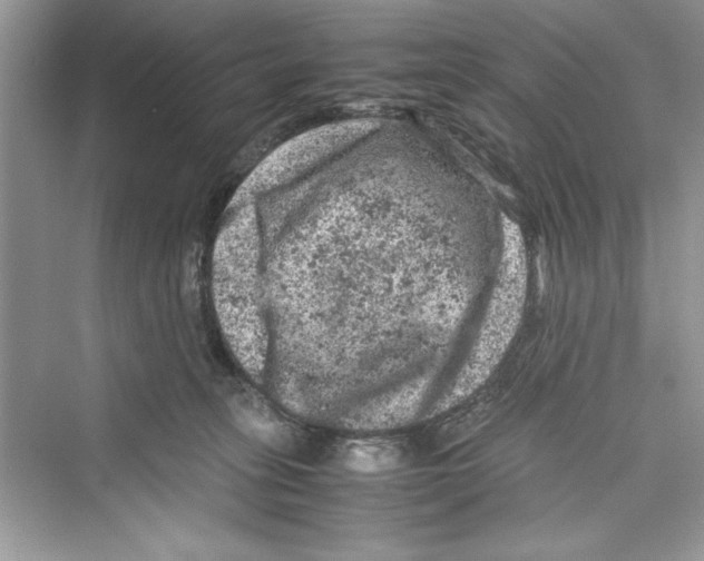 X0000072550275200608111847