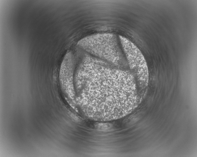 X0000072550277200608111847