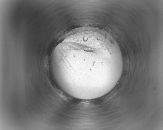 X0000072550280200608111847