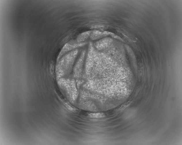 X0000072550281200608111847