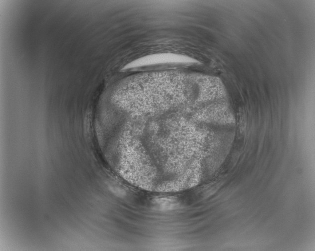 X0000072550283200608111847