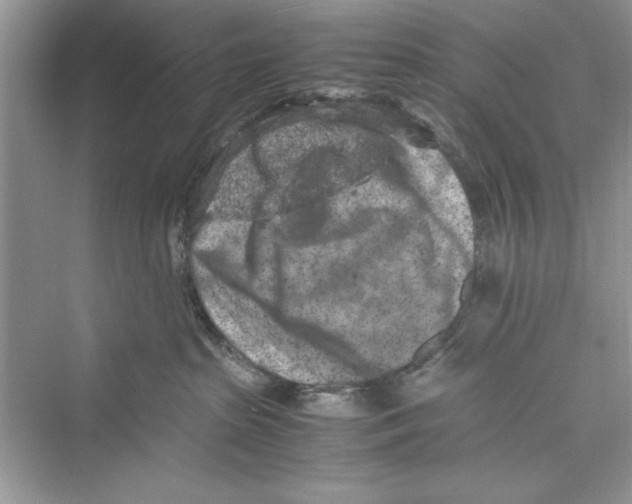 X0000072550285200608111847