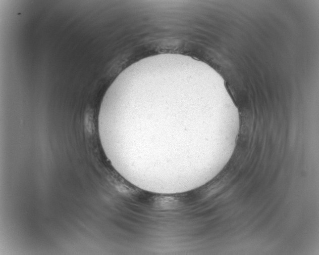 X0000072550287200608111847