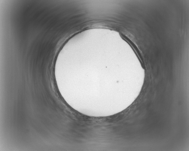 X0000072550289200608111846