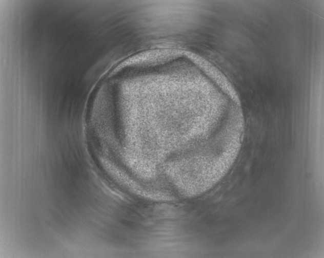 X0000072550290200608111846