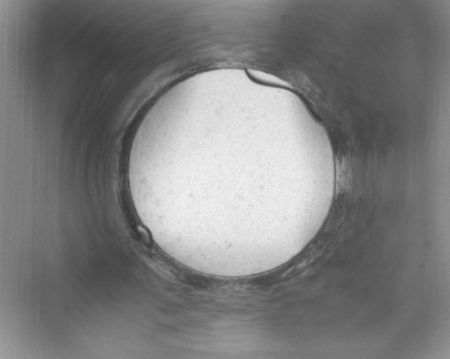 X0000072550291200608111846