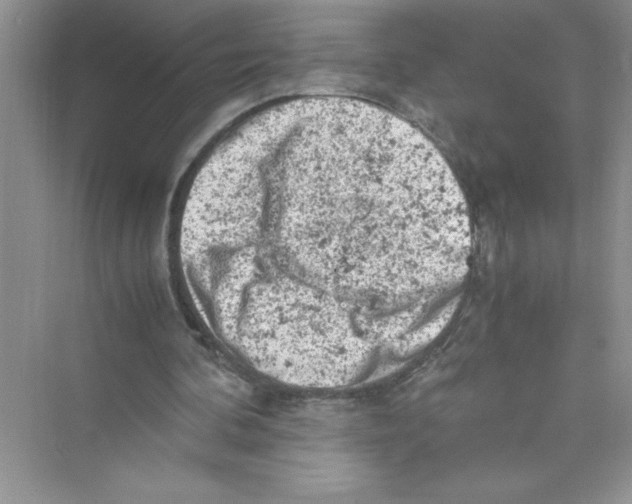 X0000072550292200608111846