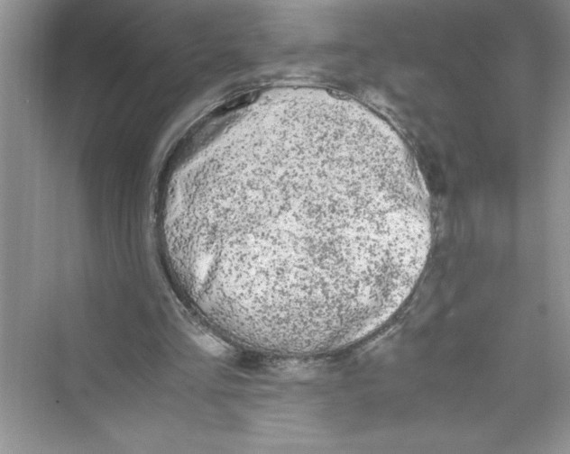 X0000072550293200608111846