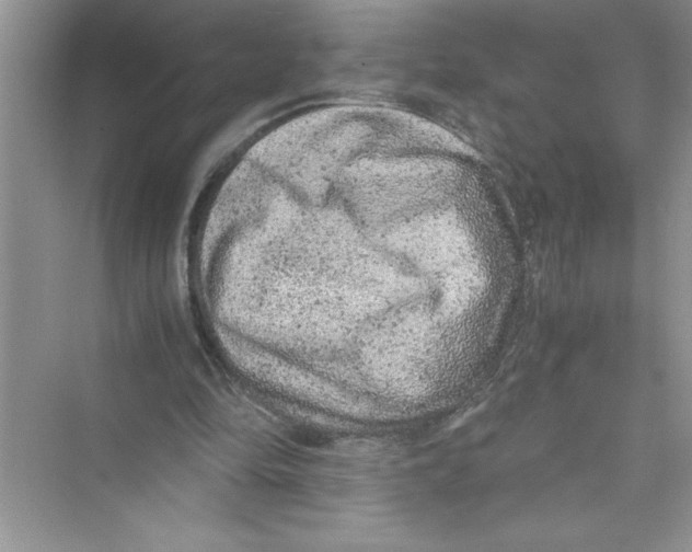 X0000072550294200608111846