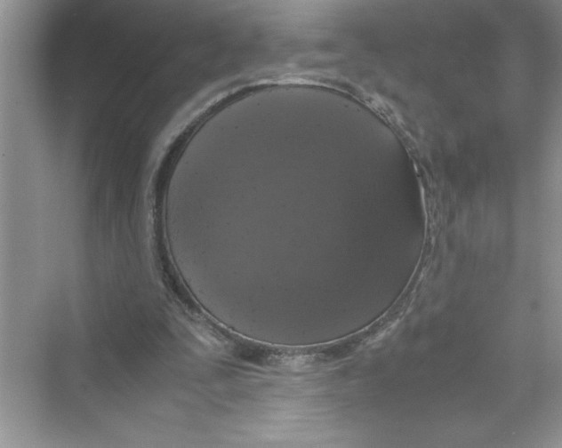 X0000072550295200608111846