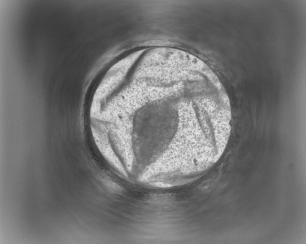 X0000072550296200608111846