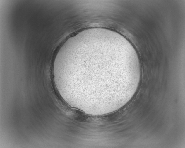 X0000072550297200608111846