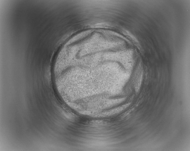 X0000072550298200608111846