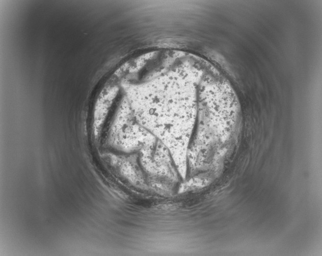 X0000072550299200608111846