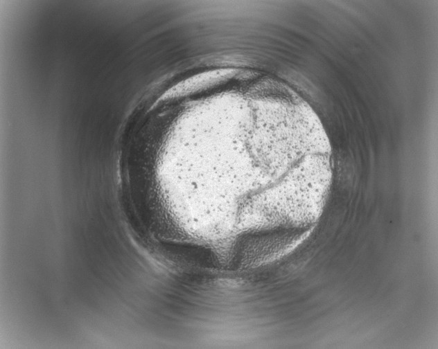 X0000072550302200608111846