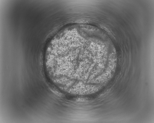 X0000072550303200608111846