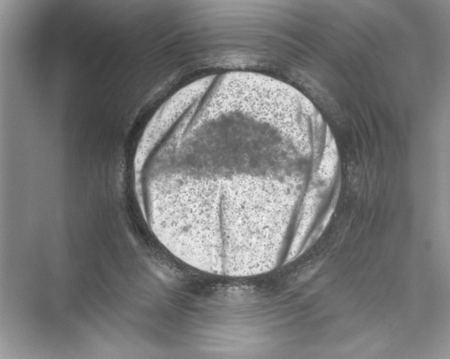 X0000072550304200608111846