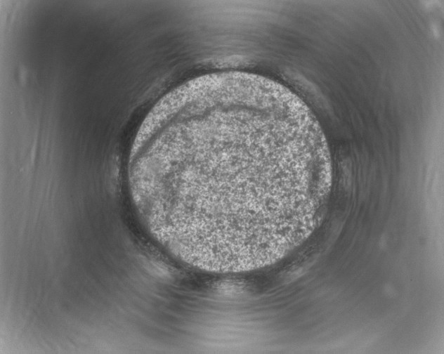 X0000072550308200608111846