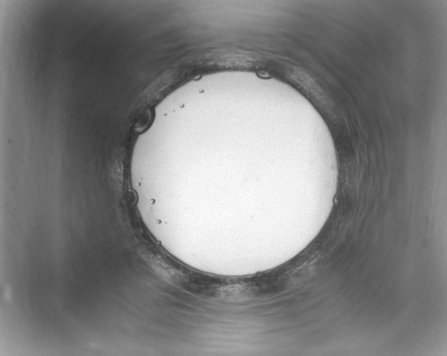 X0000072550309200608111846