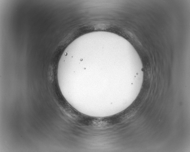 X0000072550311200608111846