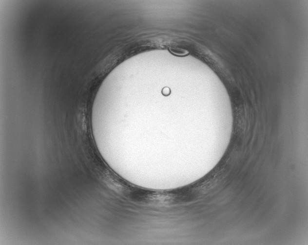 X0000072550313200608111846