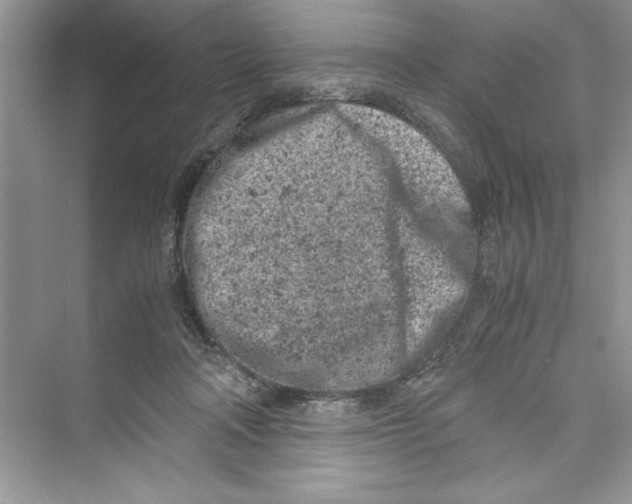 X0000072550314200608111846